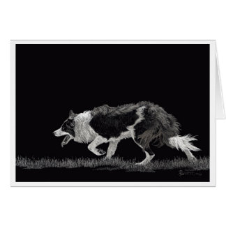 Cartão Storm the Border Collie