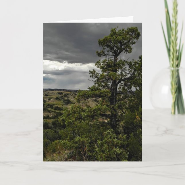 Cartão Stormy Badlands & Juniper Tree Note Card (Frente)