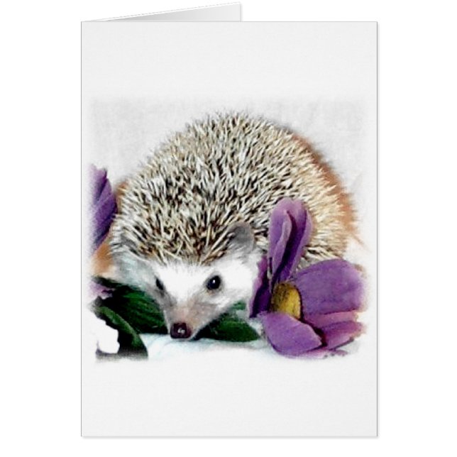 Cartão Stormy the Hedgehog (Frente)