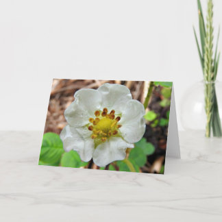 Cartão Strawberry Flower Greeting Card, Blank Inside