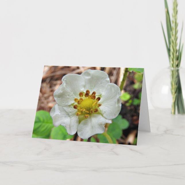 Cartão Strawberry Flower Greeting Card, Blank Inside (Frente)