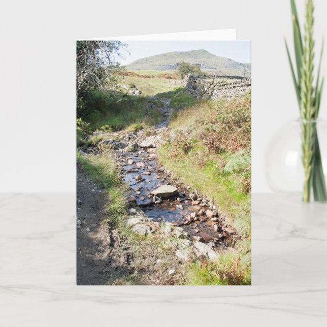 Cartão Stream Coniston Cumbrai Inglaterra (Frente)