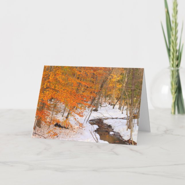 Cartão Stream da Floresta Monadnock e Folhagem de Neve (Frente)