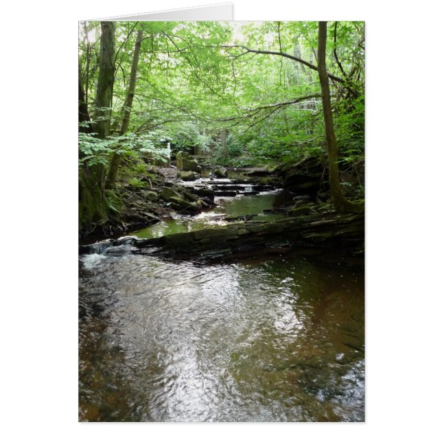 Cartão "Stream in Northumberland Woods" (2) (Frente)