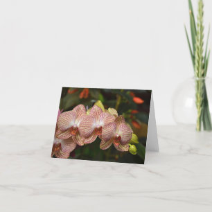 Cartão Striking String Of Orchids Note Card