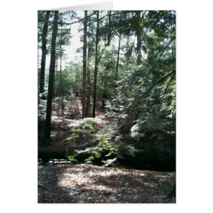 Cartão Stroll do primavera