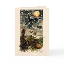 Study the Stars on Halloween Night- Card