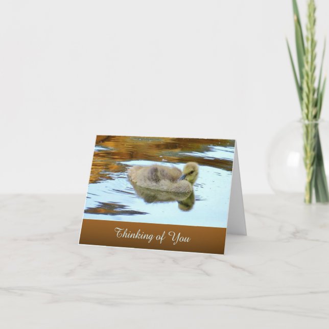 Cartão Suavemente osling - Pensando em você - Placa de Va (Frente)