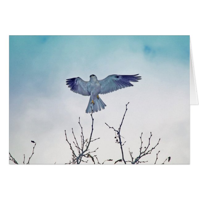 Cartão Subida (Frente Horizontal)