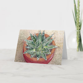 Cartão Succulent Agave victoriae-reginae Greeting Card