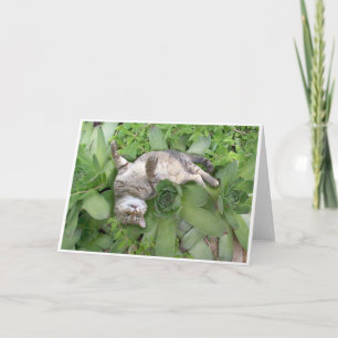 Cartão Succulent Backscratch