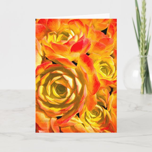 Cartão Succulent Echeveria Plant (Frente)