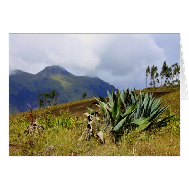 Cartão Succulent Equador (Frente Horizontal)