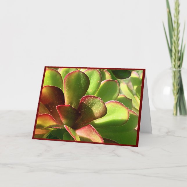 Cartão Succulent with dew drops (Frente)