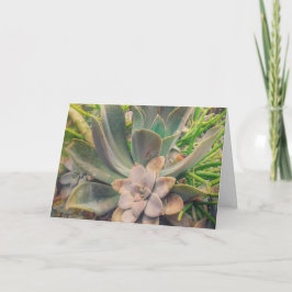 Cartão Suculentas, Dia das Mães