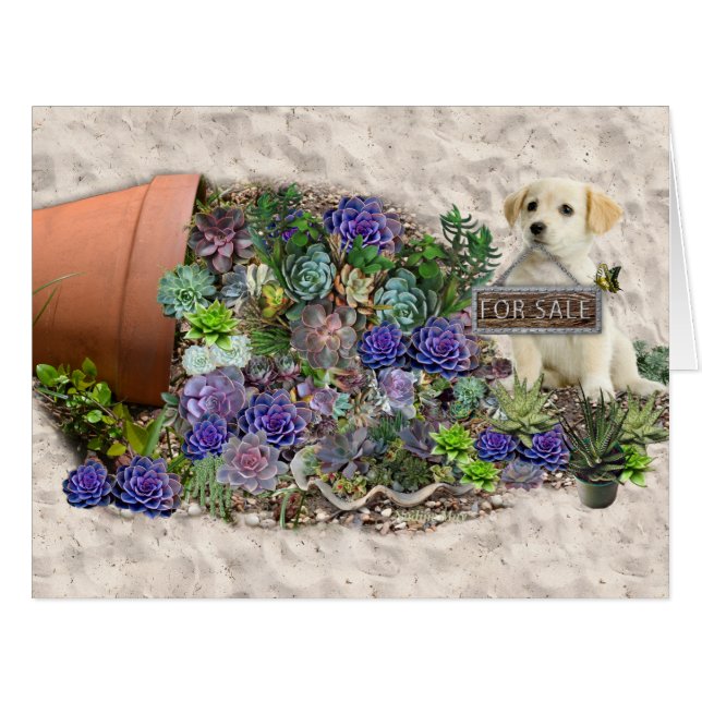 Cartão Suculentes à venda (Frente horizontal)