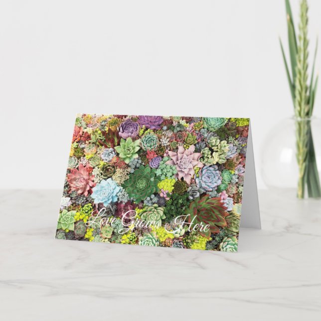 Cartão Suculentos Coloridos (Frente)