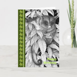 Cartão Sugar Glider Birthday Card