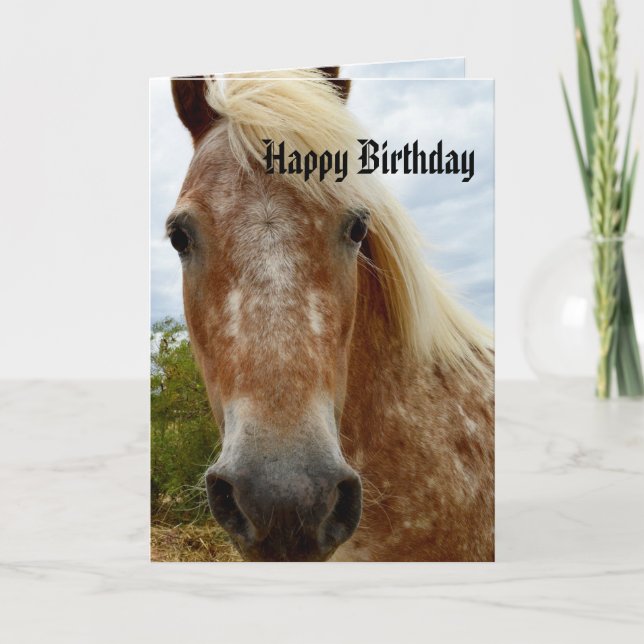 Cartão Sugar The Appaloosa Horse Birthday (Frente)