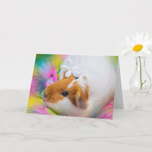 Cartão Suíno-guincho (Planta pequena)