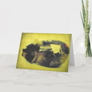 Cartão Suíno-guineense no Vidro