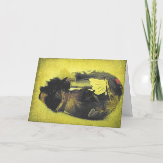 Cartão Suíno-guineense no Vidro (Frente)