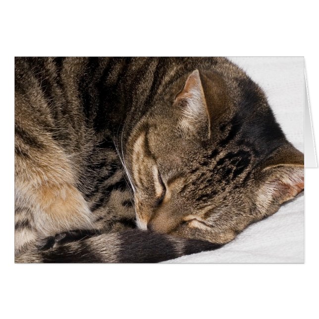 Cartão Suki (Frente Horizontal)