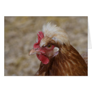 Cartão Sulmtaler Hen