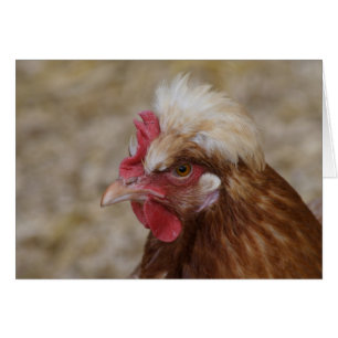 Cartão Sulmtaler Hen