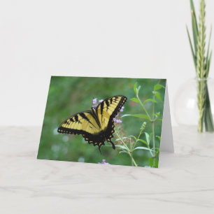 Cartão Summer Beauty