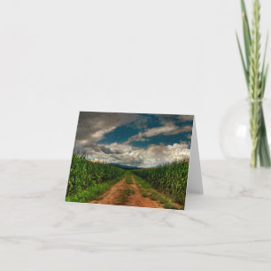 Cartão Summer Cornfield Blank Notecard