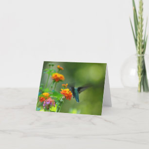 Cartão Summer Humming