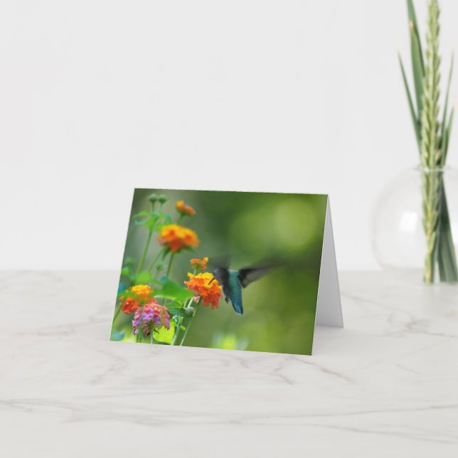 Cartão Summer Humming (Frente)