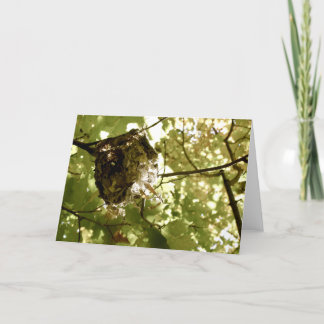 Cartão Summer Quarters - Vireo Nest Greeting Card