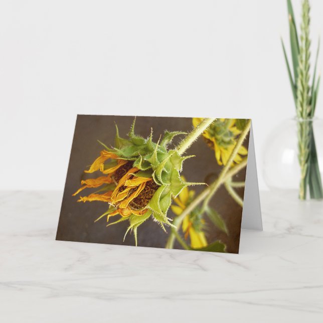 Cartão Summer's Cycle Blank Greeting Card (Frente)