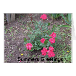 Cartão Summers Love