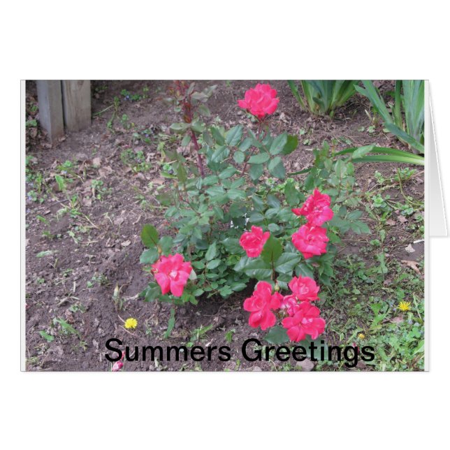 Cartão Summers Love (Frente Horizontal)