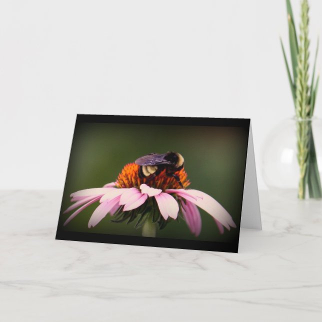 Cartão "Summertime in Texas!" (Frente)