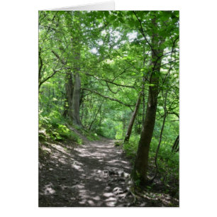 Cartão Sun através das árvores