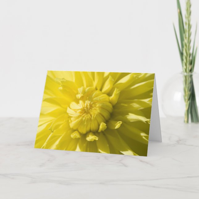 Cartão Sun burst greeting card (Frente)