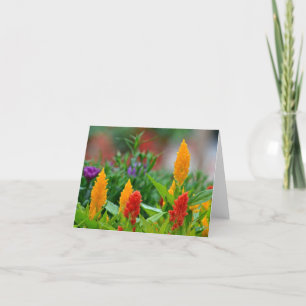 Cartão Sun Colors Notecard