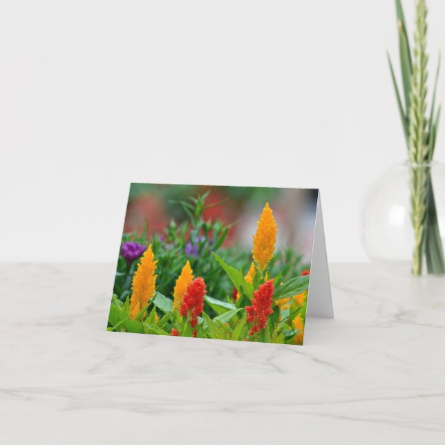 Cartão Sun Colors Notecard (Frente)
