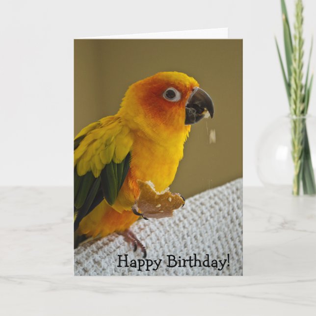 Cartão Sun Conure Bird Blank Greeting Card (Frente)