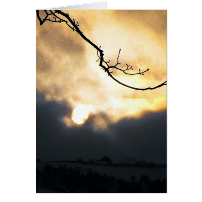 Cartão Sun de inverno (Frente)