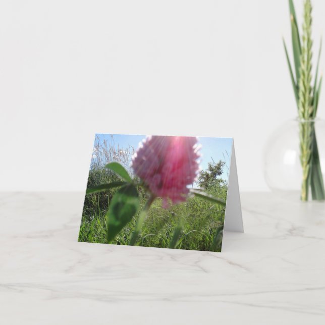 Cartão Sun Kissed Clover Note Card (Frente)