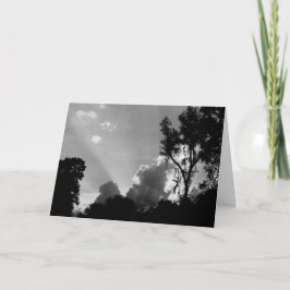 Cartão Sun Rays no Sunset B&W "Parabéns!"