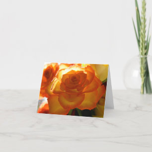 Cartão Sun Rose