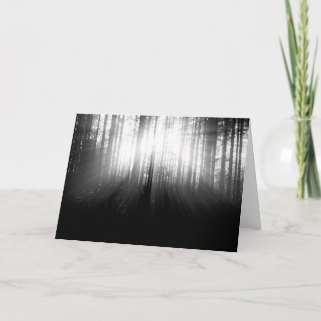 Cartão Sun Shining Through Trees in the Forest (Frente)