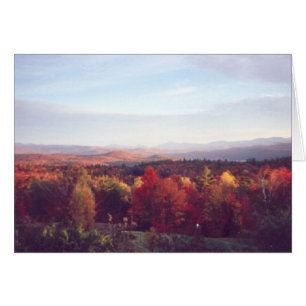 Cartão "Sun trava as copas de árvore "