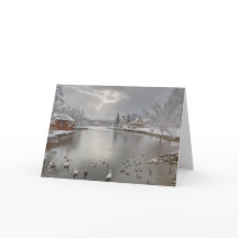 Sunbeams abraçam a lagoa de pato